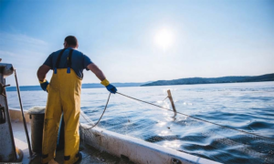 Man pulling fishing net