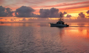 Fishing boat at sunset